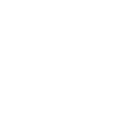 Dassault Systems